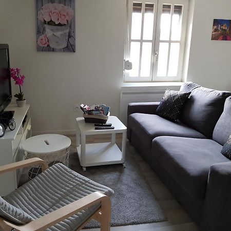Le Cocon De Tom Apartment Colmar Exterior foto