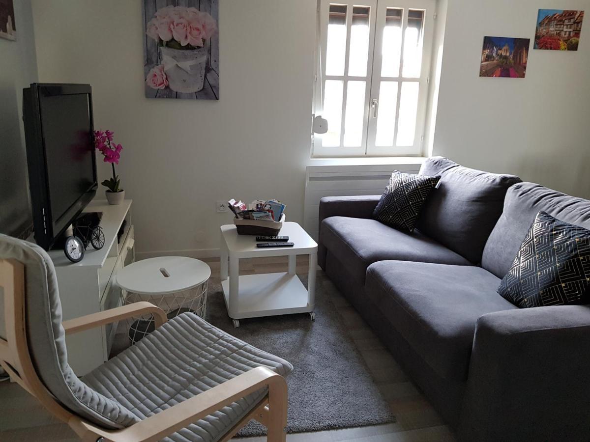 Le Cocon De Tom Apartment Colmar Exterior foto